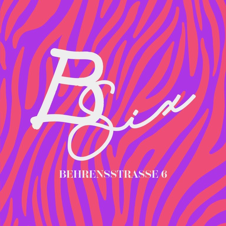 „BSix® Logo im charakteristischen pink-violetten Zebra-Design“
